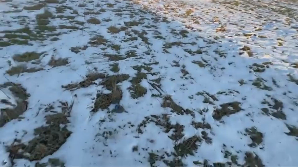 Blue Flying Gyro Disc